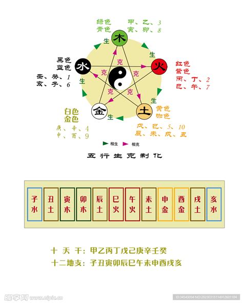 天干地支的五行|五行天干地支對照表